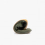 Vivobarefoot Ababa Leather Ladies Botanical Green 